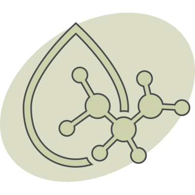 Collagen Production